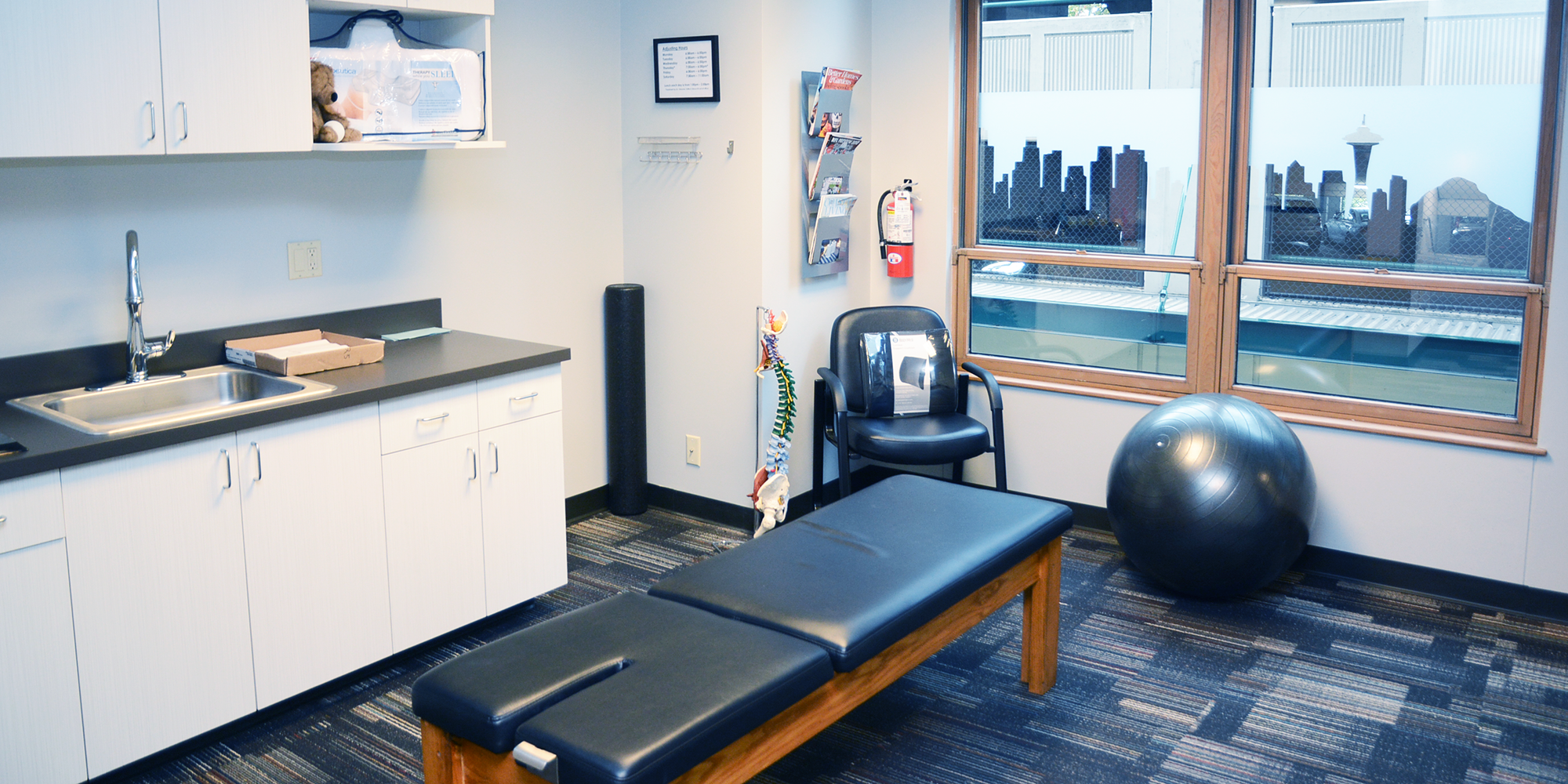 Seattle Chiropractic Care